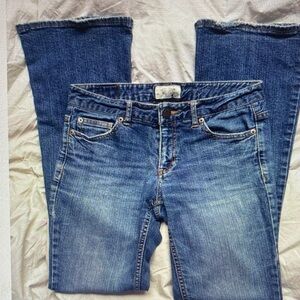 Stylish Blue Flare Jeans